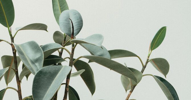 What's Going On When Your Hips Are Making Noise? image