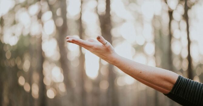 Comprehensive Treatment Plan 